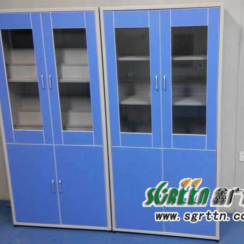 山东学校铝木药品试剂柜，仪器器皿柜，文件铁皮实验室，全木药品柜实验台