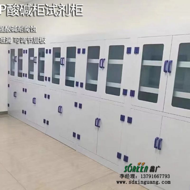 山东实验室试剂柜厂家，实验室酸碱柜药品柜定做