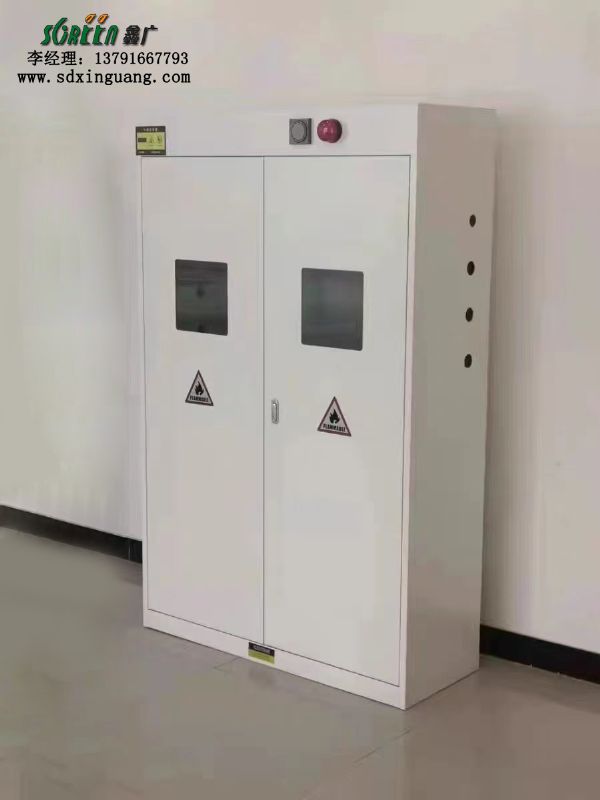 潍坊实验室设备 实验室防爆气瓶柜定制