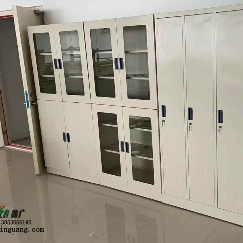 潍坊全钢药品柜器皿柜生产厂家 PP药品柜 试剂柜 药剂柜
