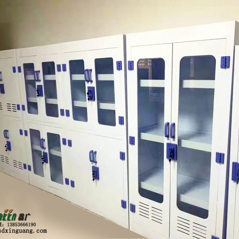 潍坊实验室PP试剂柜器皿柜酸碱柜 化验室样品存储柜