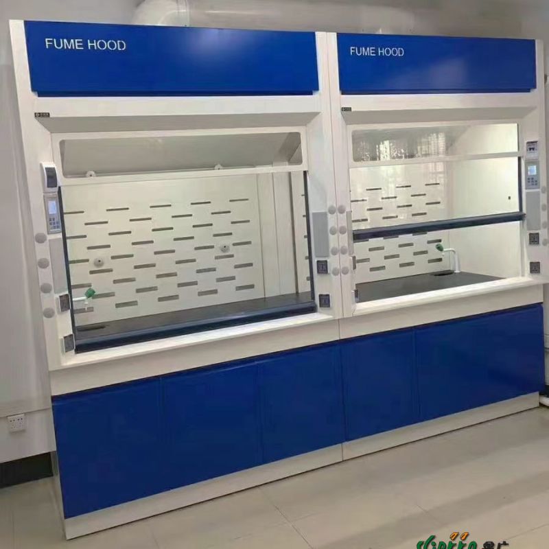 山东实验室家具 全钢通风柜 PP通风柜生产厂家