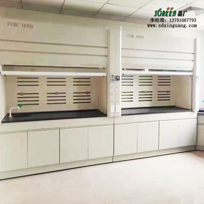 潍坊实验室设备pp通风柜 实验室设备通风柜
