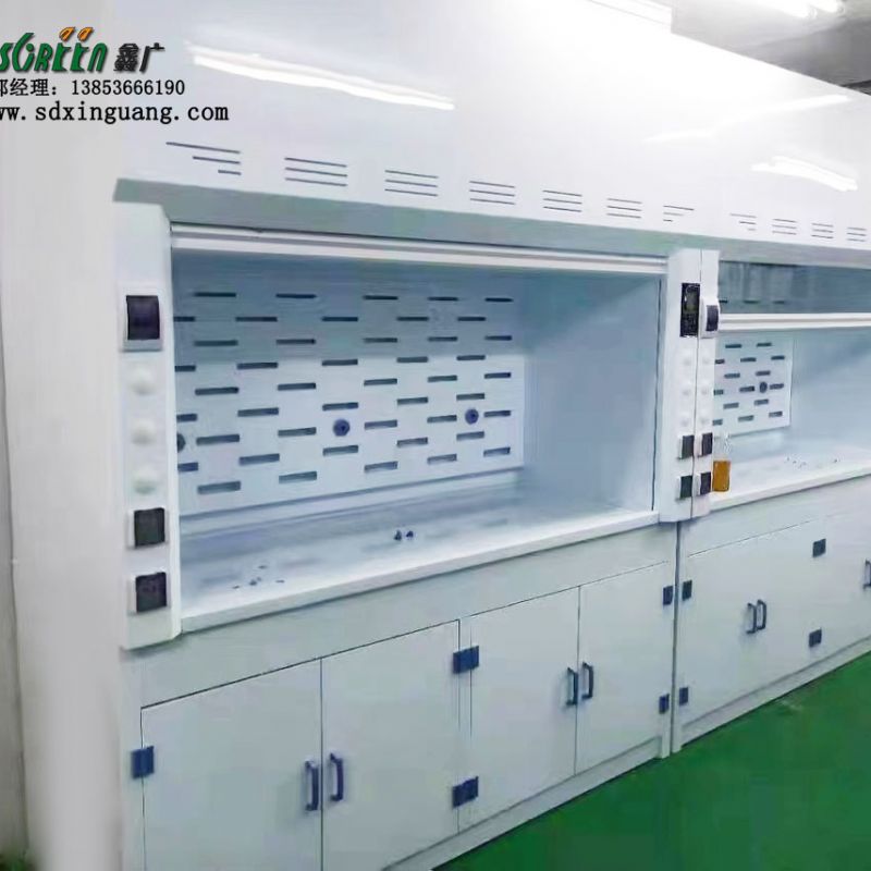 山东PP通风柜 实验室耐酸碱实验室安全通风橱
