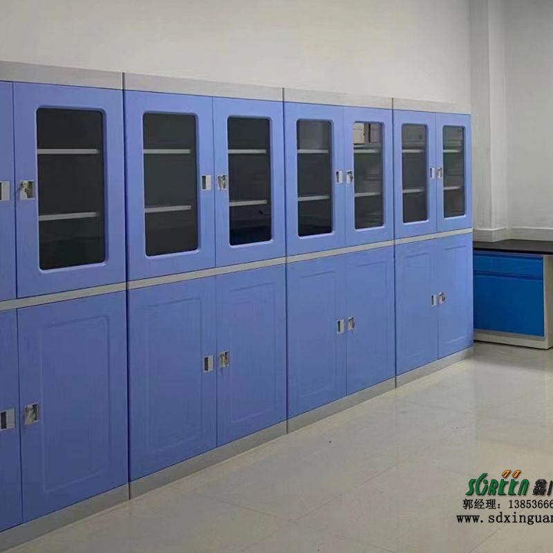 山东实验室家具 铝木药品柜 学校实验室试剂柜 器皿柜