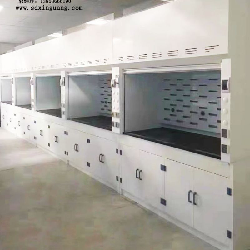 山东实验室通风柜 排风柜 化验室全钢PP通风橱