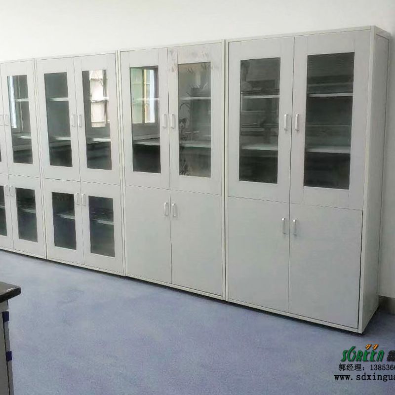 山东鑫广学校实验室试剂柜 危险化学品药品柜 器皿柜安全柜