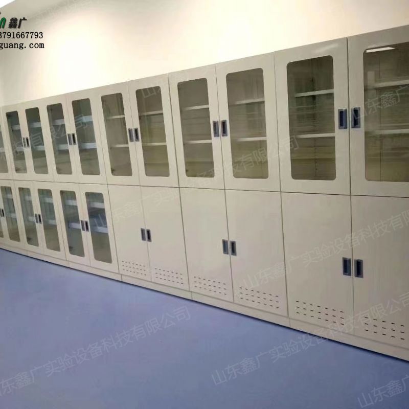 山东济南实验室全钢药品柜 化学试剂柜 耐腐蚀仪器柜