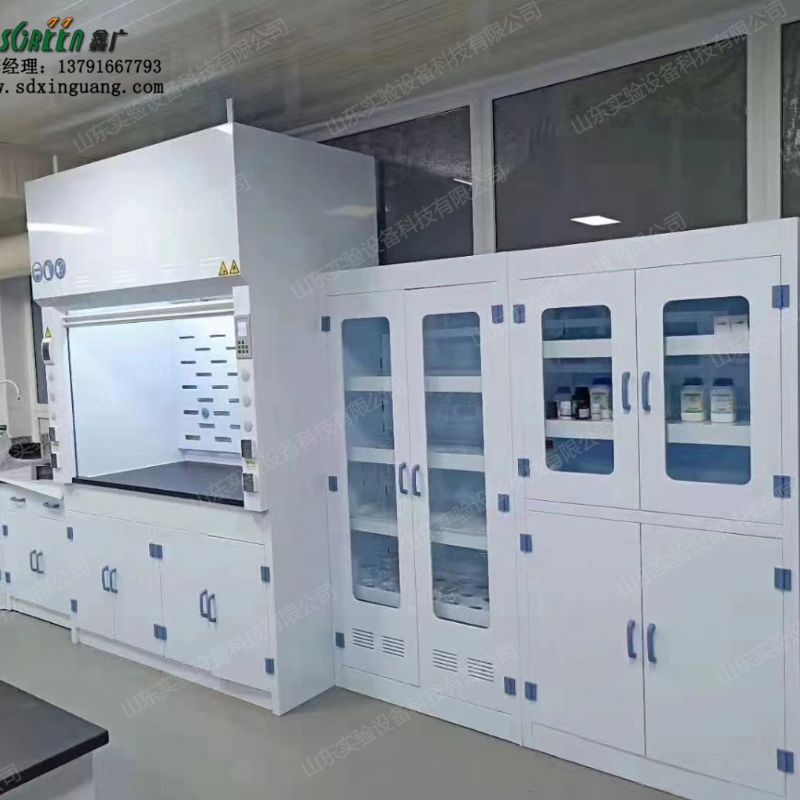 山东鑫广化验室PP药品柜 器皿柜 实验室试剂柜 化学存储柜