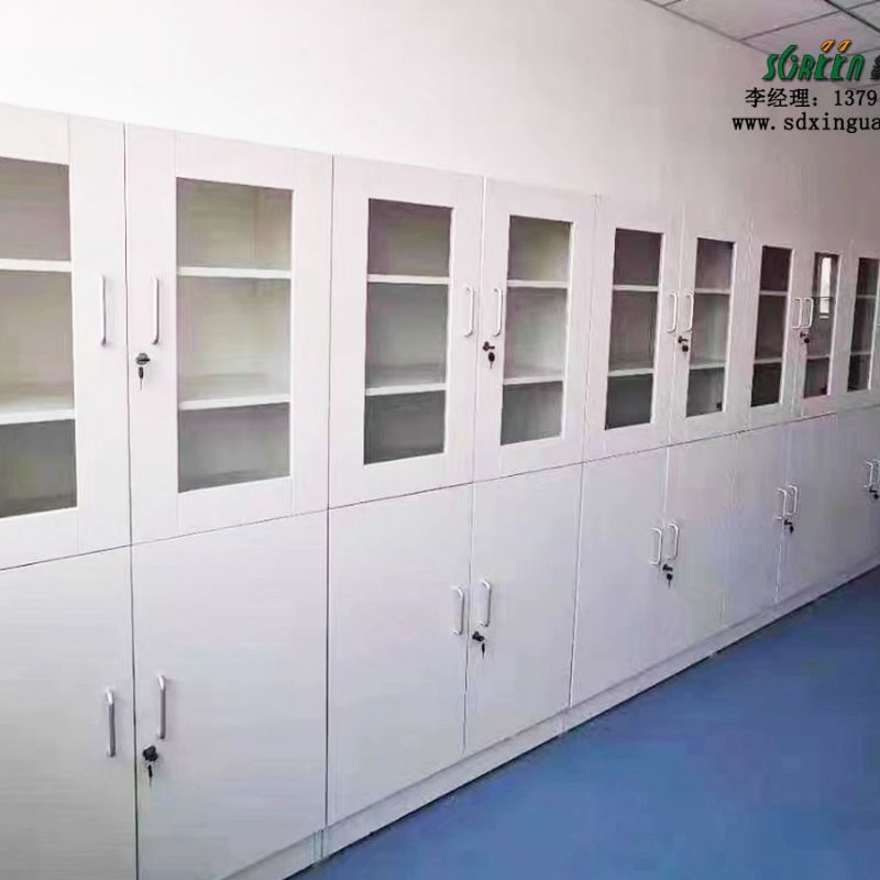 山东实验室试剂柜厂家 实验室器皿柜酸碱柜