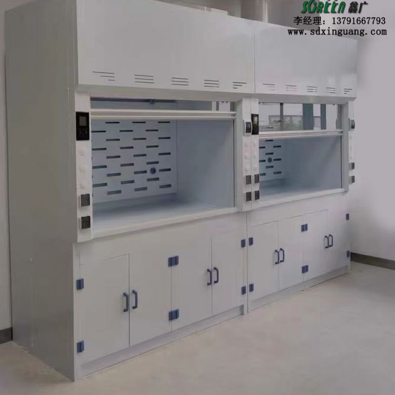 山东潍坊pp落地式通风柜定制 耐酸碱耐腐蚀性能好 上门安装
