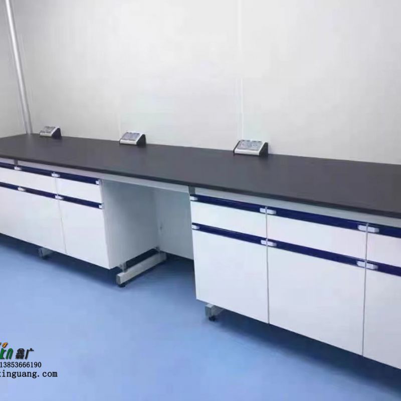 山东化验室家具 潍坊实验台厂家 通风柜定做