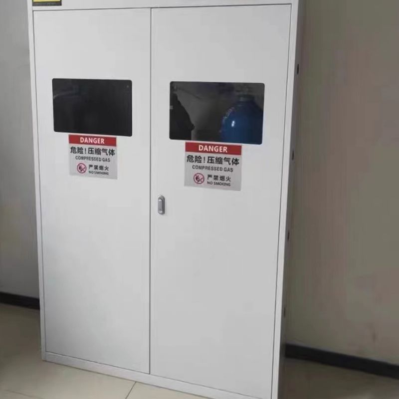 济南厂家供应气瓶柜 实验室智能全钢带报警钢瓶 乙炔氧气双瓶储存柜