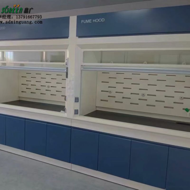 实验台通风柜实验室家具 气瓶柜厂家 化验室家具生产设计