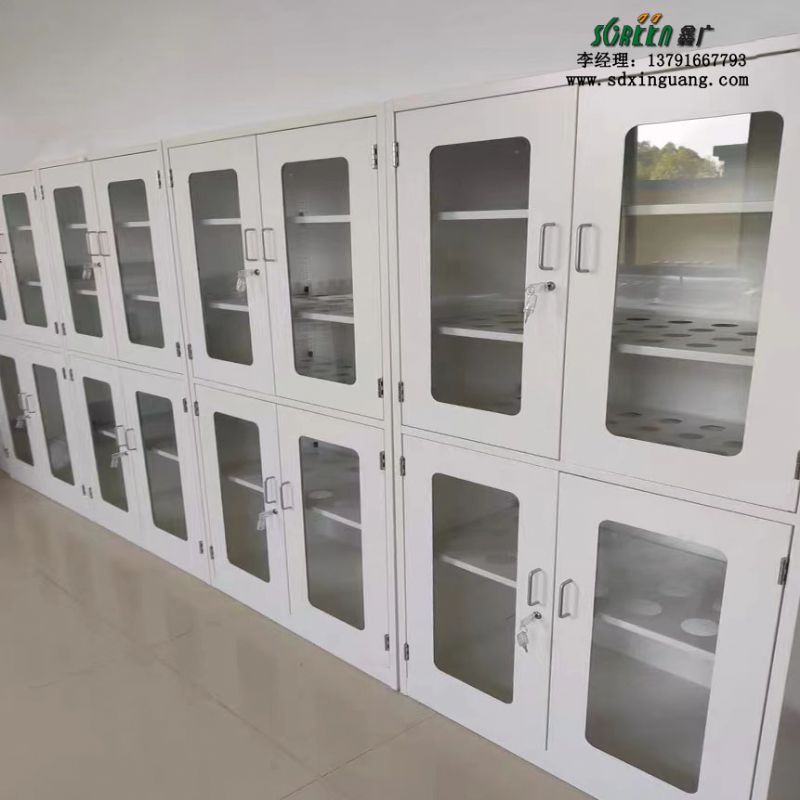 厂家实验室全钢药品柜 钢木 pp试剂柜 边台 通风柜厂家定制