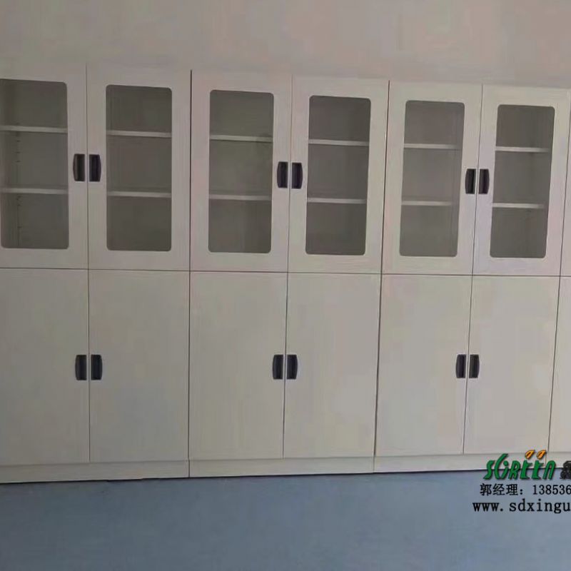 山东实验室全钢药品柜 试剂柜 器皿柜 化验试剂储存柜 器械柜