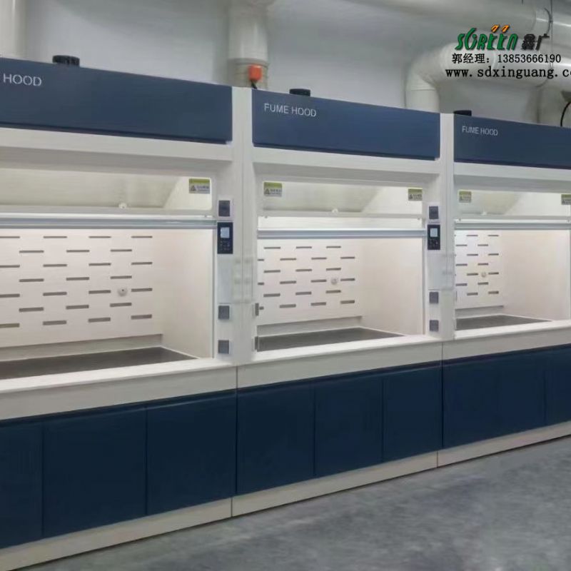 鑫广厂家供应 全钢材质通风柜防腐耐酸碱 台面落地式通风柜