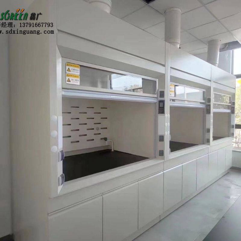 鑫广桌上型全钢通风柜 落地式化验排风柜全钢pp排烟柜