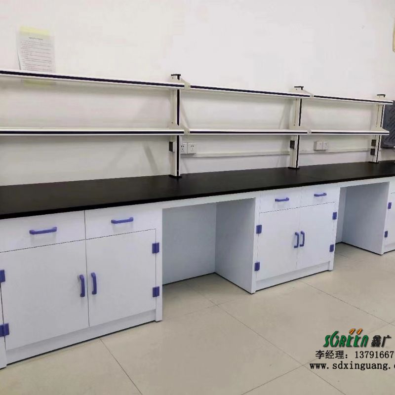 鑫广实验室工作台理化板操作台耐酸碱PP实验台 物理化学试剂柜