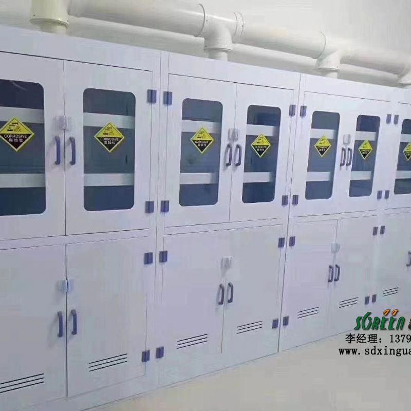 潍坊实验室家具pp气瓶柜耐强酸碱无缝链接量大从优