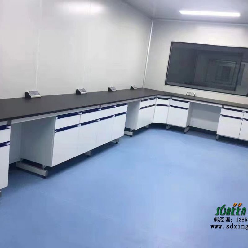 批发实验室钢木边台理化室实验台 PP水槽台柜钢木工作台