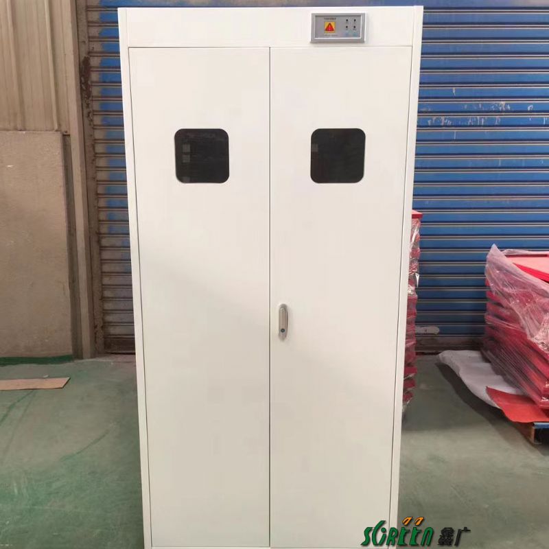 实验室双锁气瓶柜 试剂柜危化品保险柜化学储存柜