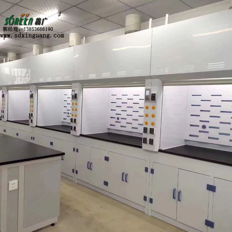 实验室pp通风柜 化学实验室耐酸碱通风柜 通风橱