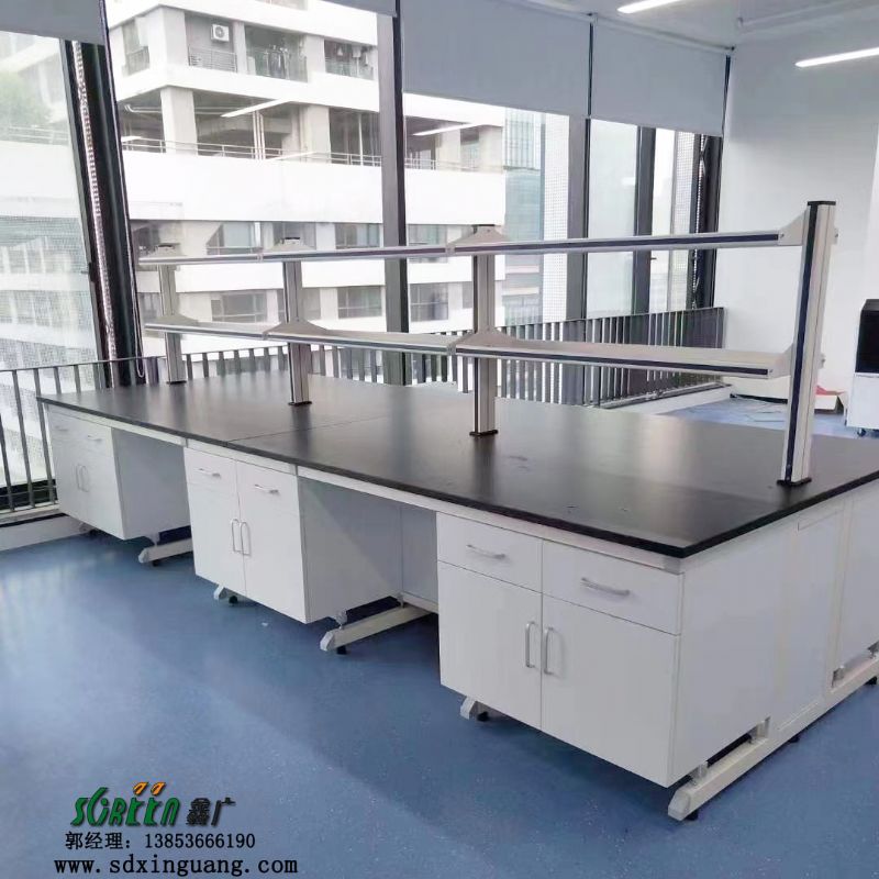 实验室工作台钢木边台 全钢实验台水槽台试剂架试验台