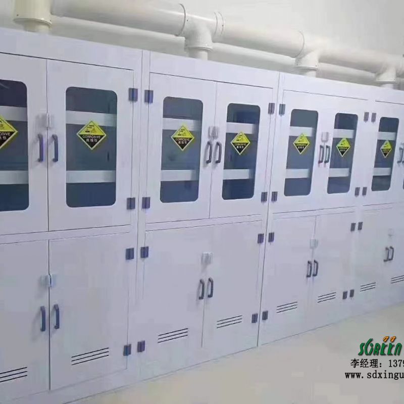 实验室通风柜pp试剂储存柜器皿柜实验室安全柜