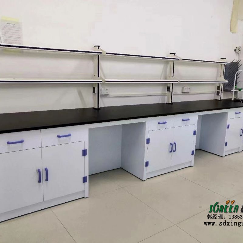 供应实验室工作台 pp实验台 耐酸碱实验桌化验室设备