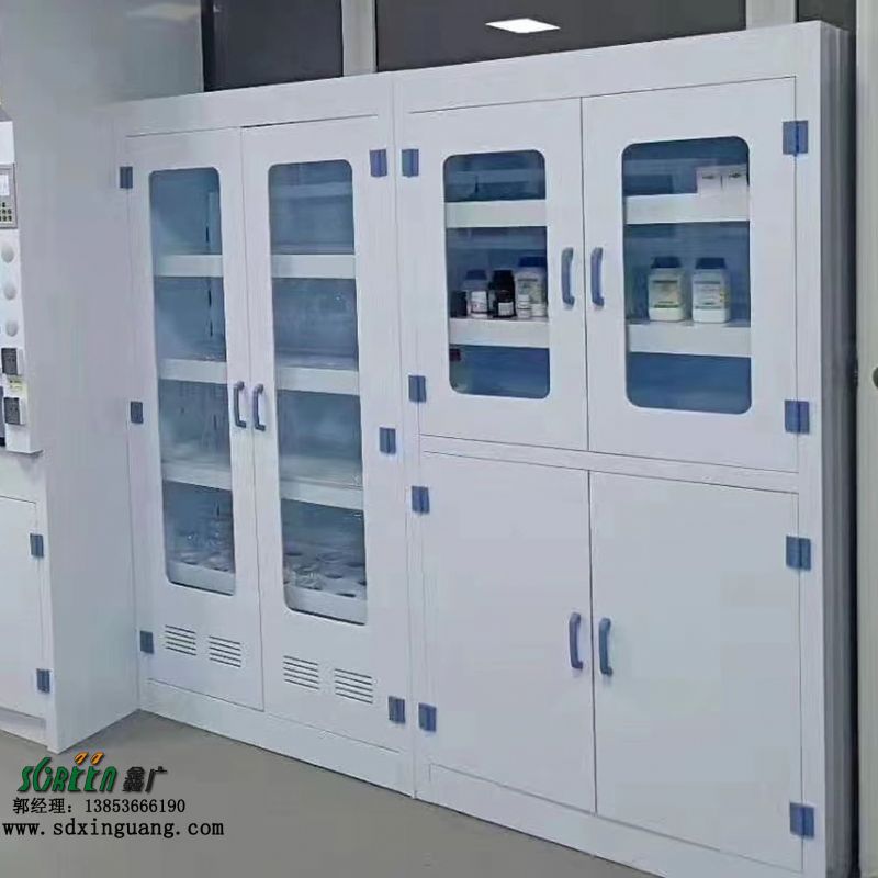 潍坊实验台 pp器皿柜 全钢通风柜 实验室设备