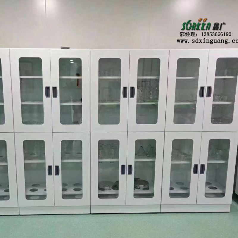 厂家供应 全钢器皿柜 试剂柜 实验室试验台设备