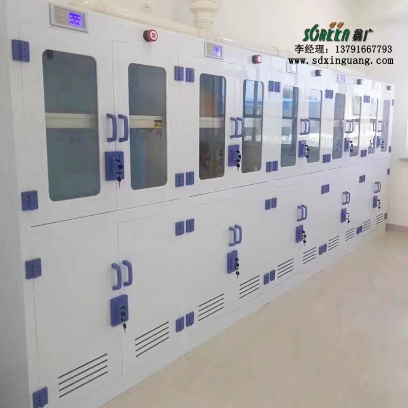 双锁器皿柜 PP试剂柜化学实验室通风柜 耐腐蚀器皿柜