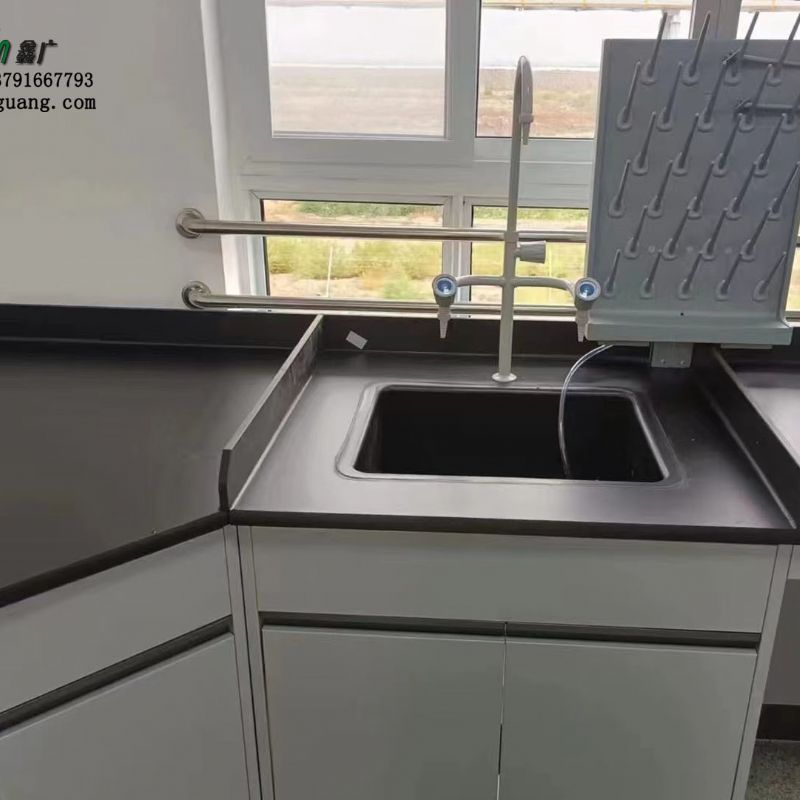 钢木实验台 pp水槽台 实验室排风罩 全钢pp通风柜