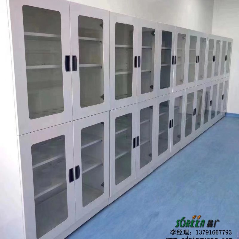 实验室全钢试剂柜 耐酸碱实验室柜 样品存储柜供应