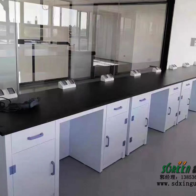 pp实验台 通风柜 化验室实验室家具厂家供应