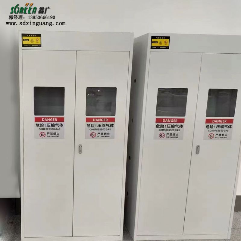定制实验室全钢气瓶柜 防爆安全柜加厚板材