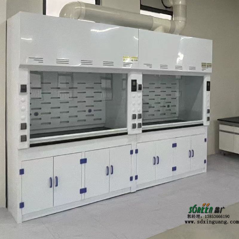 山东实验室家具 PP通风柜 实验台通风橱