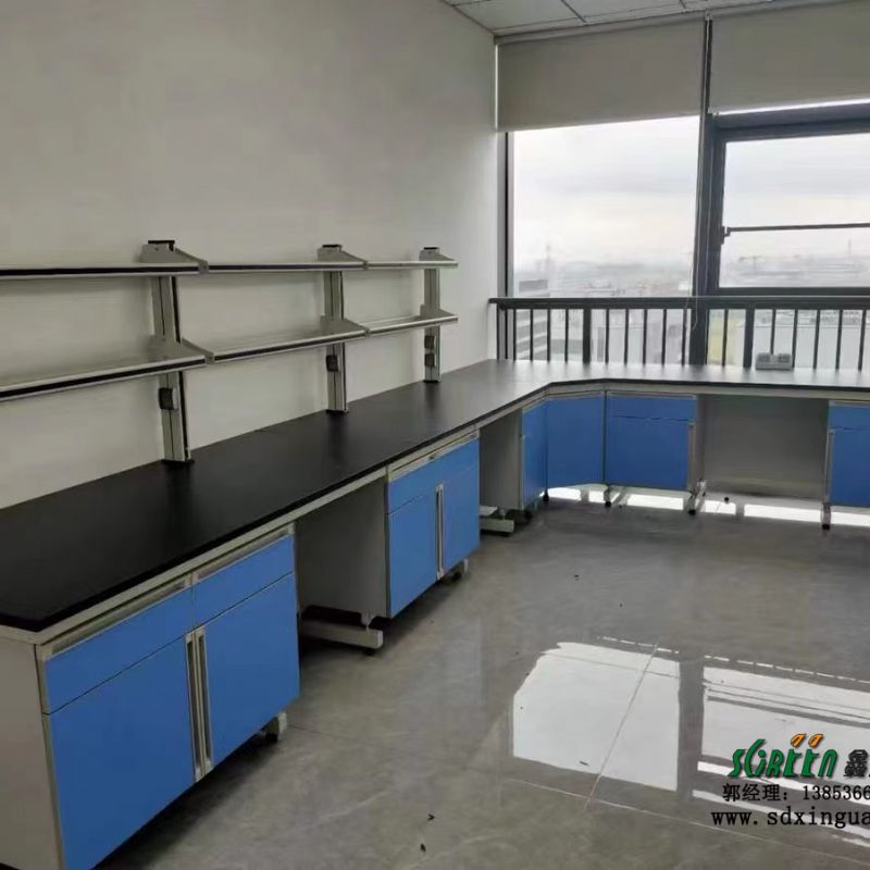 实验室设备 全钢全木钢木实验台现货定制