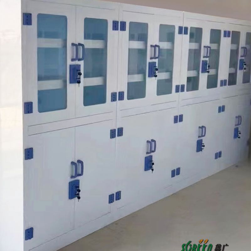 实验室装修 pp器皿柜厂家 双开门化学器皿柜