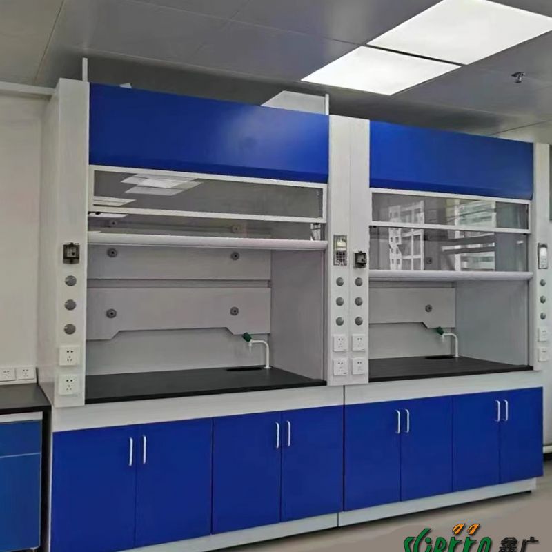 山东实验台厂家全钢通风柜落地型pp通风橱