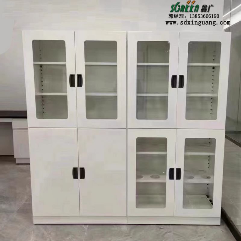 山东实验台全钢器皿柜化学实验室全钢材质样品柜
