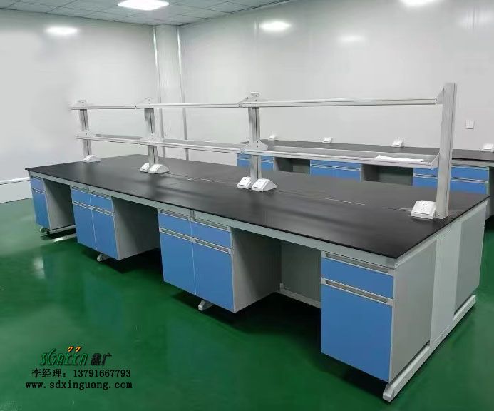 潍坊实验室家具 通风橱 钢木实验台供应