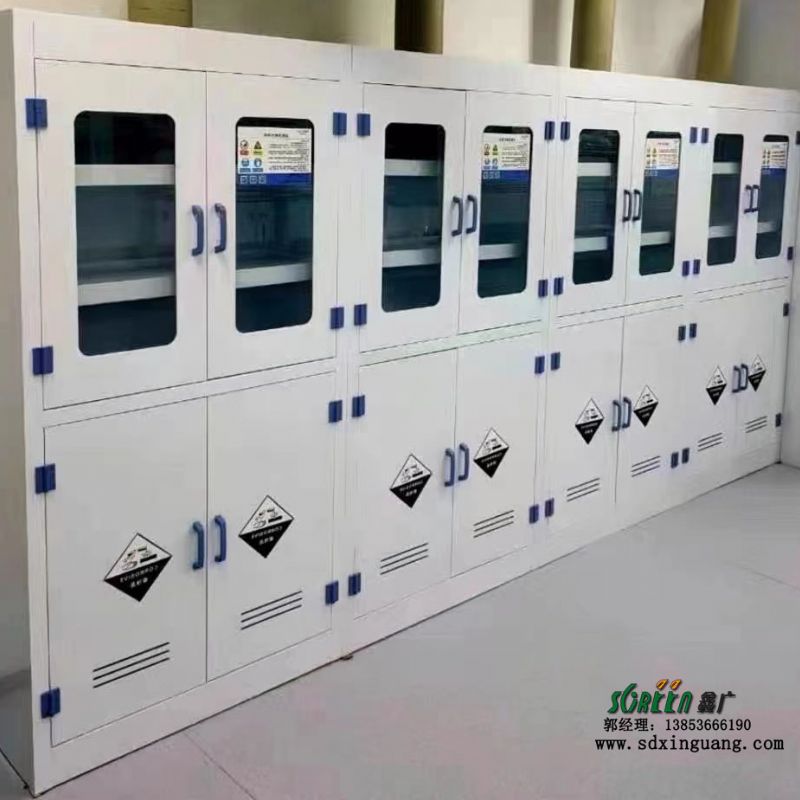 潍坊pp试剂柜 化验品实验室器皿柜定制