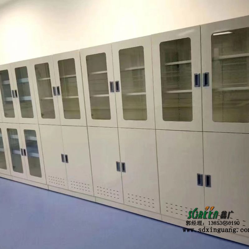 全钢试剂柜 实验室器皿柜存放柜不锈钢样品柜