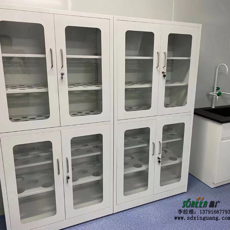 全钢化验室仪器柜 实验室器皿柜 实验台厂家