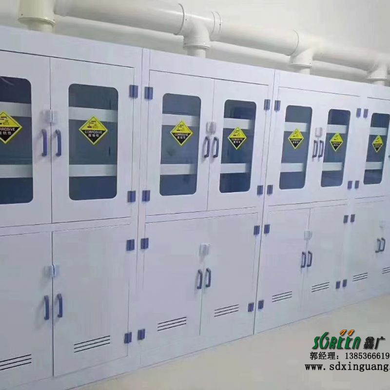 鑫广pp试剂柜 化验室储存柜 实验室器皿柜
