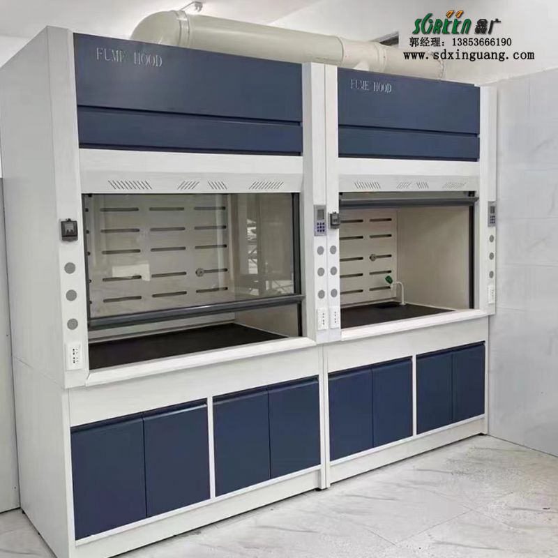 山东实验室通风橱,全钢通风柜,pp排风柜