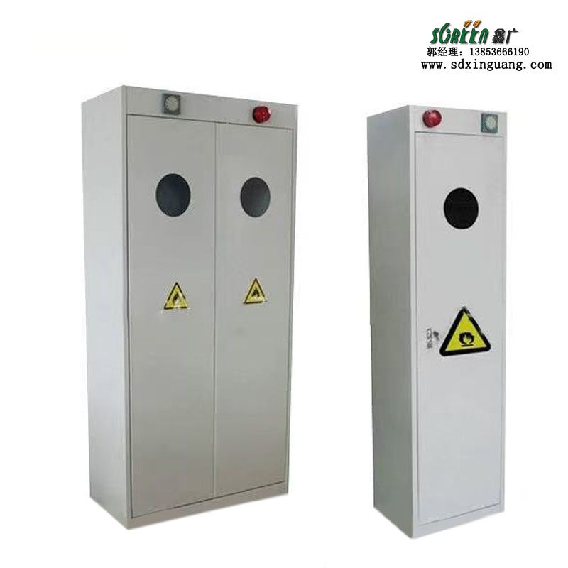 山东实验室气瓶柜供应化验室防爆柜储存柜