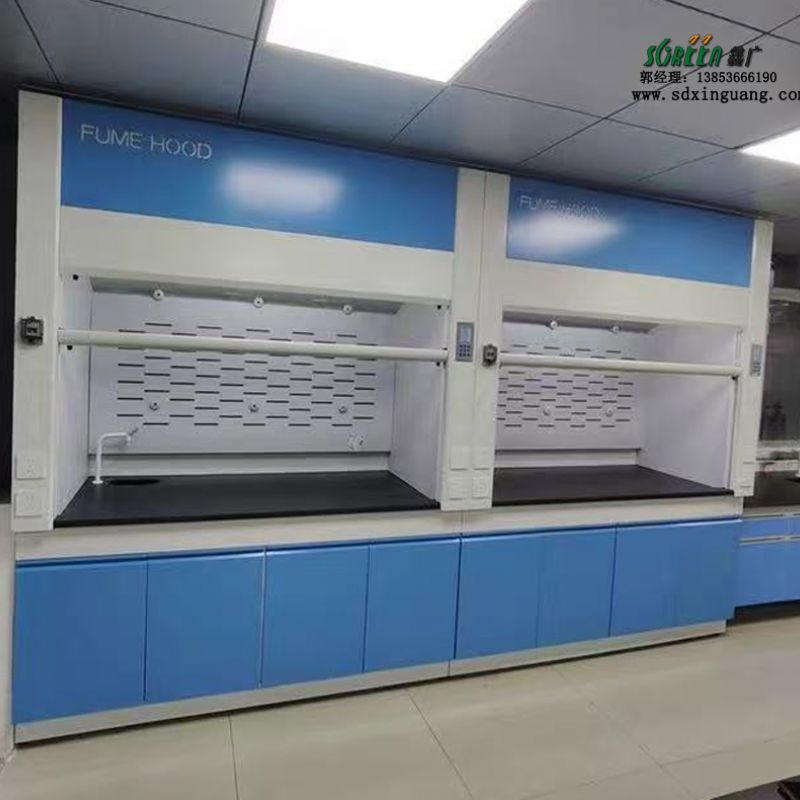 山东全钢通风橱实验室全钢通风柜PP排风柜